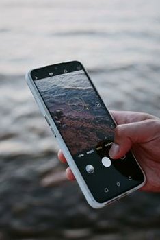 chắn New88